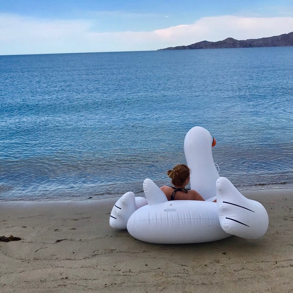 Meet your Posher, Brenda - Picture 1 of 1